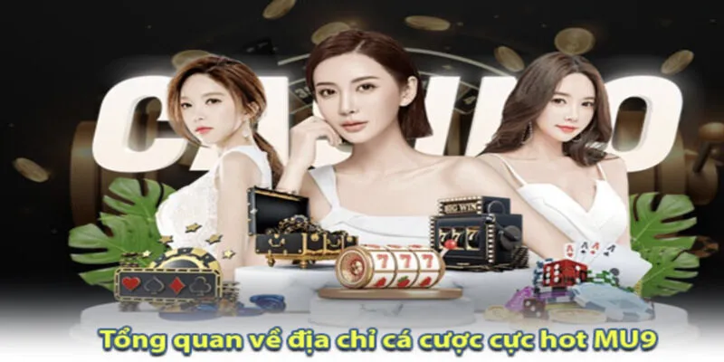 Khám phá thương hiệu Mu9